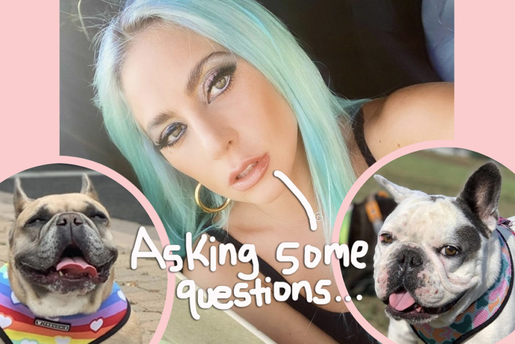 Lady GaGa Hasn’t Paid Hefty Reward To Woman Who Returned Her Dogs As Cops Investigate Possible Gang Initiation