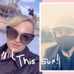 Rebel Wilson Injured After Biking Accident Involving Unleashed Dog In London!