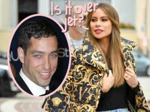 Sofia Vergara Racks Up More Wins Against Ex In Legal Battle Over Frozen ...