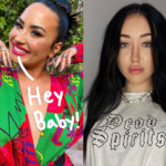 Here’s Why Fans Think Demi Lovato & Noah Cyrus Are Dating!