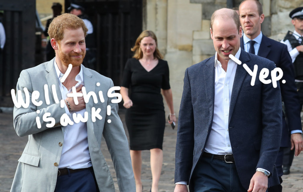 Prince Harry Prince William Reportedly Plan To Walk Shoulder To Shoulder At Prince Philip S