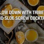 Slow Down With Tribe’s CBD Sloe Screw Cocktail