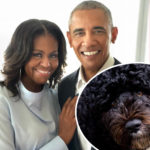 Barack & Michelle Obama Mourn The Death Of Their Beloved Dog & ‘Loyal Companion’ Bo