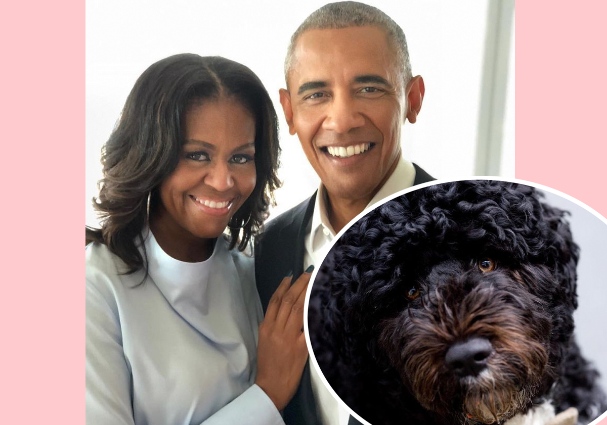 #Barack & Michelle Obama Mourn The Death Of Their Beloved Dog & ‘Loyal Companion’ Bo
