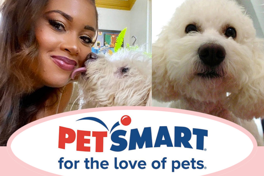 Petsmart senior discount outlet grooming