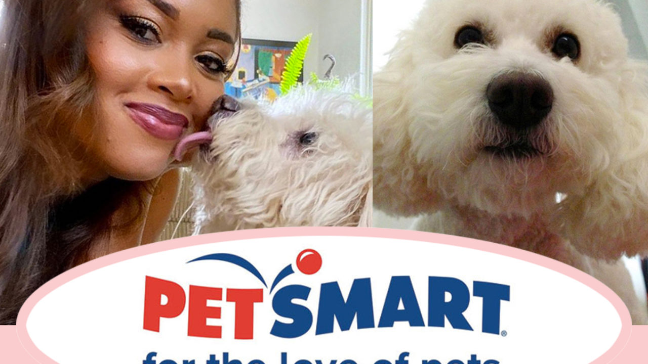 4 PetSmart employees charged with animal cruelty after poodle dies during  grooming 