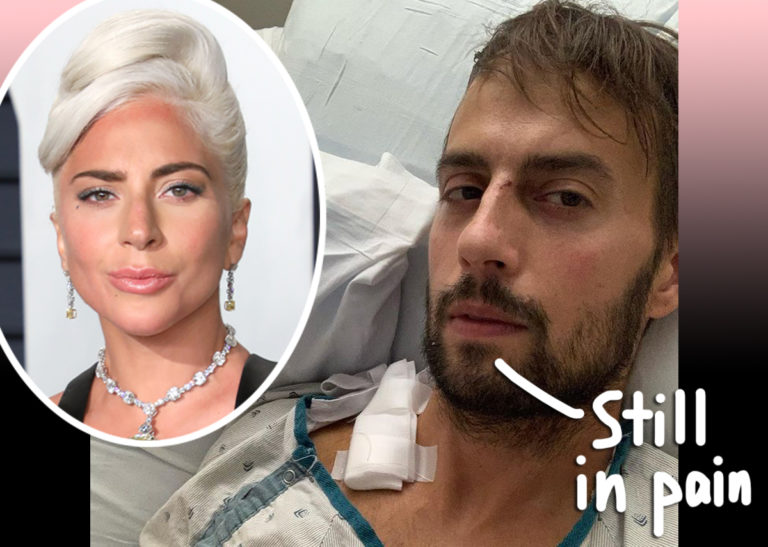 Lady GaGa's Dog Walker Says It Hasn't 'Been Easy' To Heal With New