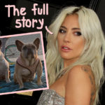 Lady GaGa’s Dog Walker Tailed By Suspects -- New Details On Infamous Dognapping