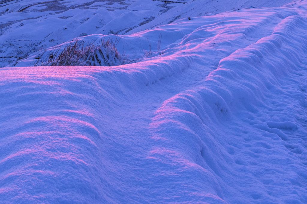 snow sled woman dies