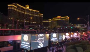 CBD Coin in Vegas