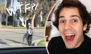 YouTuber David Dobrik Hired Fake Elderly Lady To Help Cross The Street