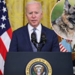 Joe & Dr. Jill Biden Mourn Loss Of Beloved German Shepherd Champ After He Passes Away At 13
