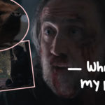 Nicolas Cage Searches For His Kidnapped Truffle Pig In Bizarre New Trailer!