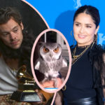 Salma Hayek Has THE GROSSEST Harry Styles Story!