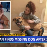 Woman Looking To Adopt Pet At Shelter Reunited With THE DOG SHE LOST 2 YEARS AGO!