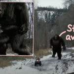 New Bigfoot Video Goes Viral -- What Do YOU Think It Is??