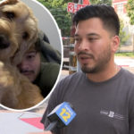Dog Owner Searching For Pet After 'Sitter' Stops Responding, Police Investigating