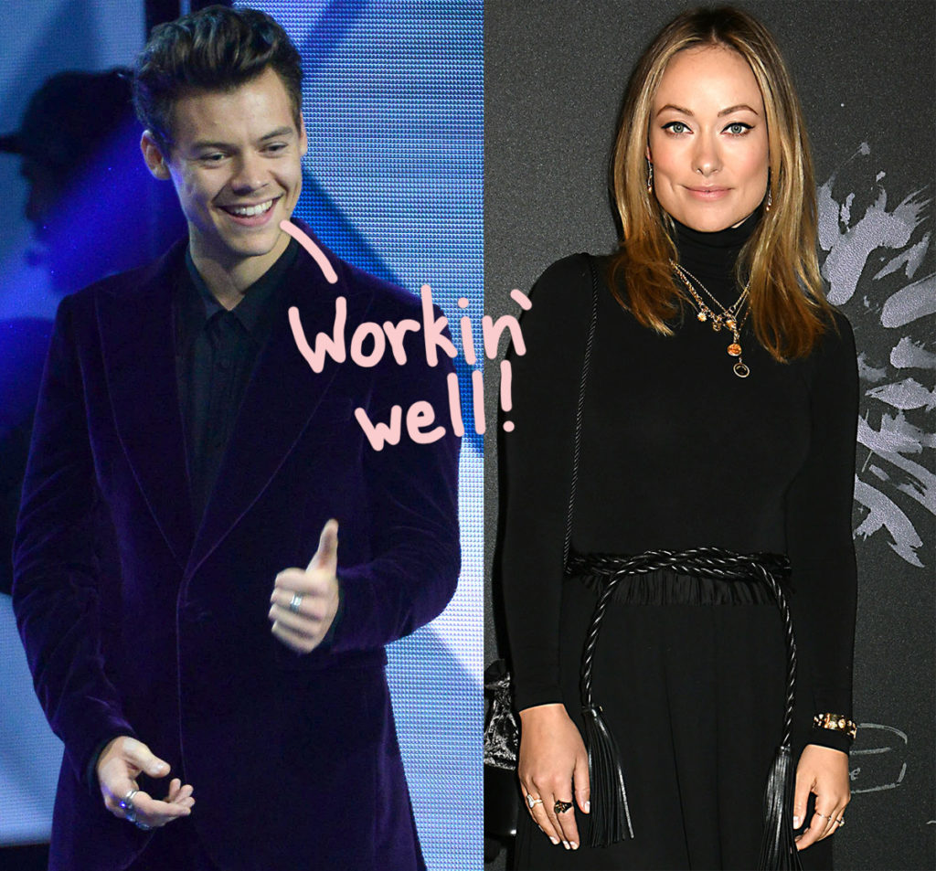 Olivia Wilde and Harry Styles are getting along just great in their relationship!