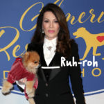 Woman Sues Lisa Vanderpump's Rescue Center After Allegedly Getting Worms From New Pet Pooch!