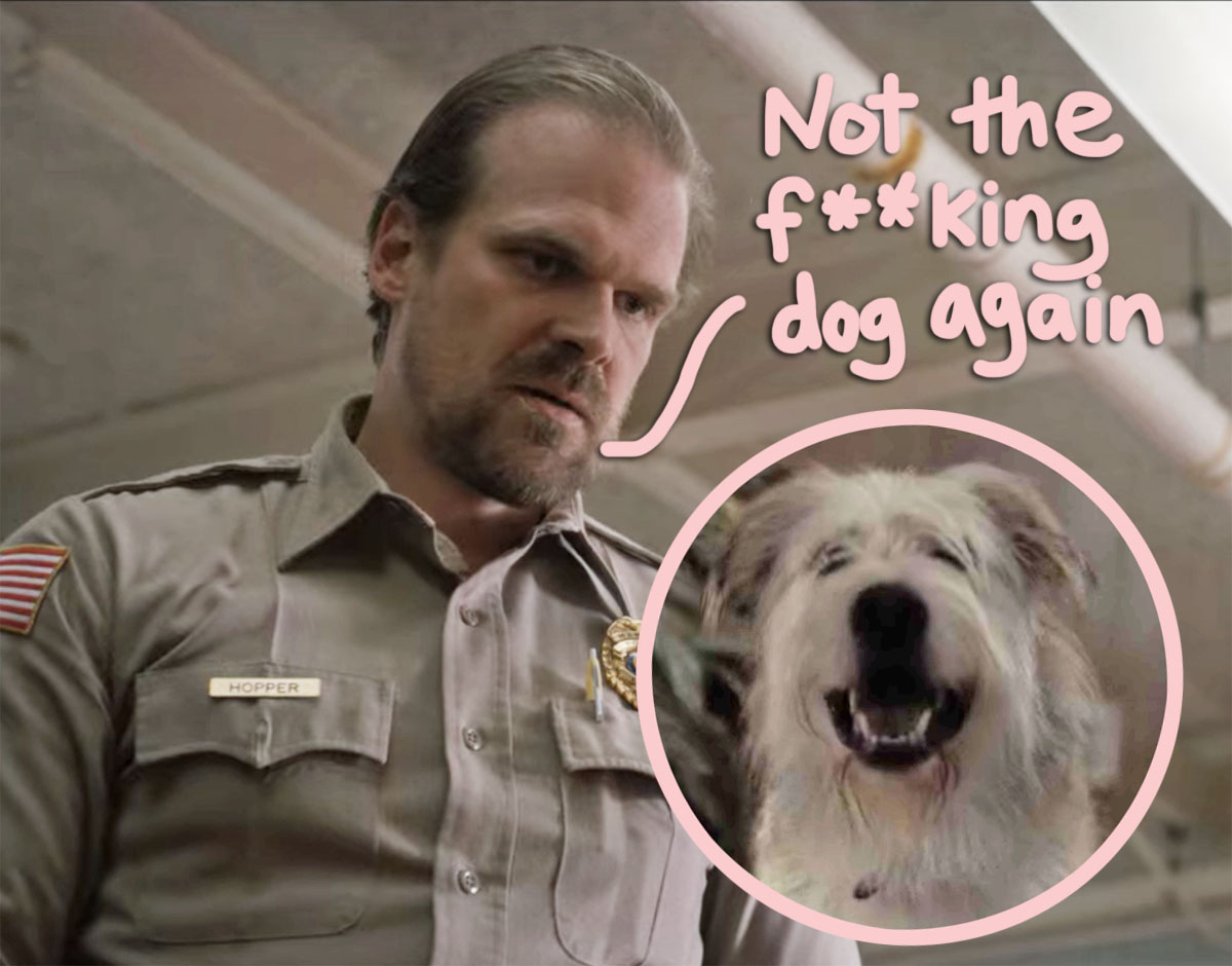 #OMG!! David Harbour ‘Hated’ The Stranger Things Dog So Much He Wanted It KILLED OFF!