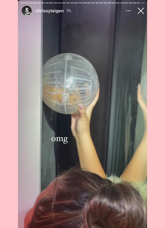 chrissy teigen : rescues hamster with hamster ball instagram story