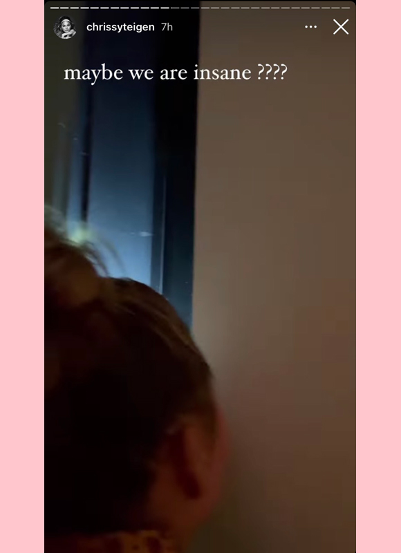 chrissy teigen : questions if she's insane during hamster search