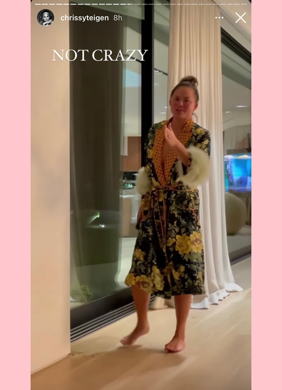 chrissy teigen : explains where she hears the hamster instagram story