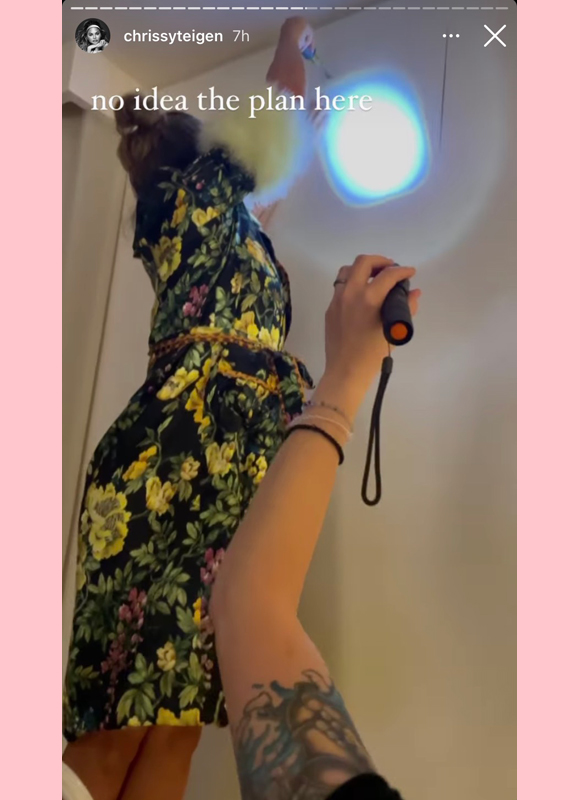 chrissy teigen : attempts to get to hamster with screwdriver