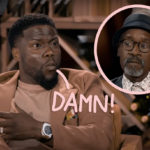 Don Cheadle Defends Kevin Hart Amid Backlash Over A Misinterpreted Viral Interview Moment!