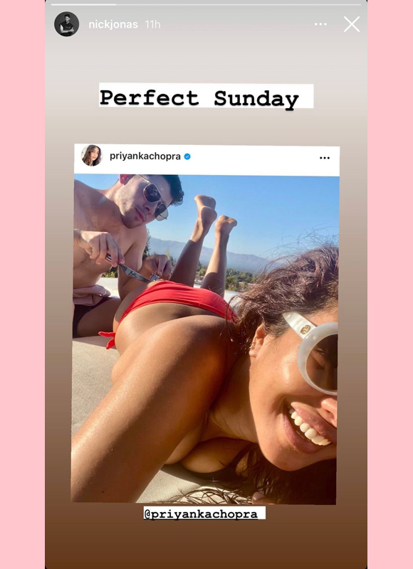 nick jonas, priyanka chopra : reposted snack photo to his instagram story