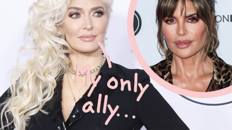 Lisa Rinna Is Erika Jayne's 'Only Friend Left' As Remaining RHOBH Cast Turns Their Backs Amid Legal Troubles