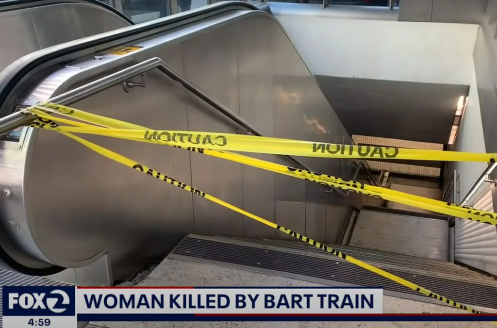 freak accident woman dies dog train