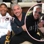 Cesar Millan's Pit Bull KILLED Queen Latifah's Dog, Then He Covered It Up, Claims Shocking New Lawsuit!
