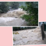 NYC Woman & Her 7-Month Old Golden Retriever Puppy Drown In Rural River During Vermont Vacation