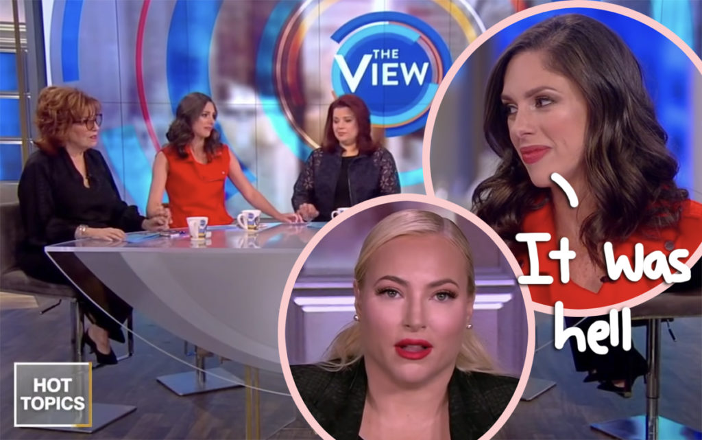 Abby Huntsman Joins Meghan Mccain In Calling The View A ‘toxic Environment But Shes Going 6747