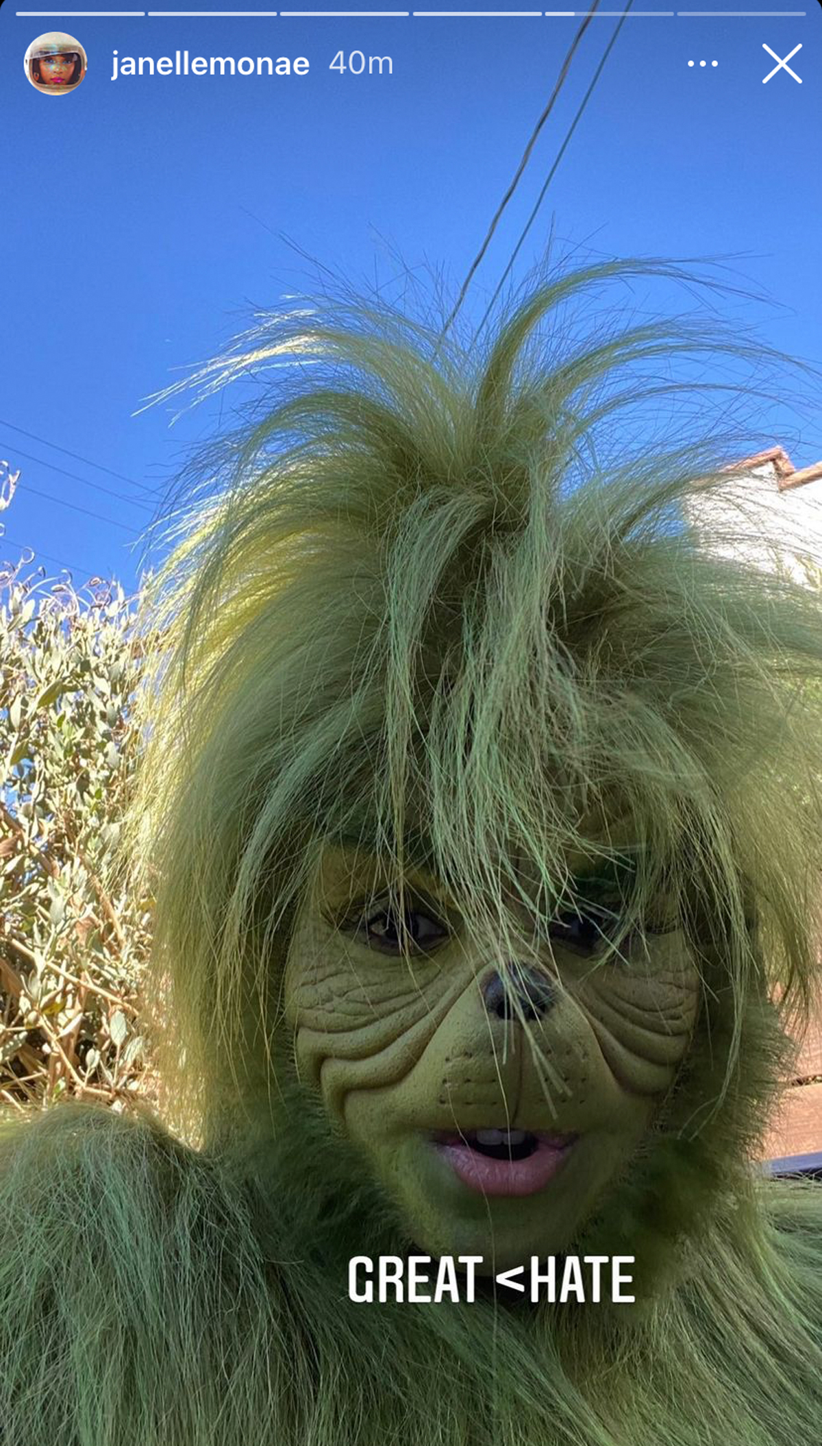 Janelle Monae Dresses As The Grinch For Halloween 2021