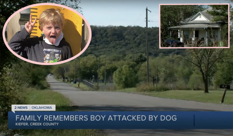 Young Boy Mauled To Death By Pet Dog His Family Rescued Just Three ...