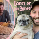 This Elderly Pug Has Captured TikTok's Heart With His Daily Bones Horoscope!