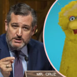 Big Bird Attacked By Ted Cruz & Other Conservatives Over COVID Vaccine! For Real!