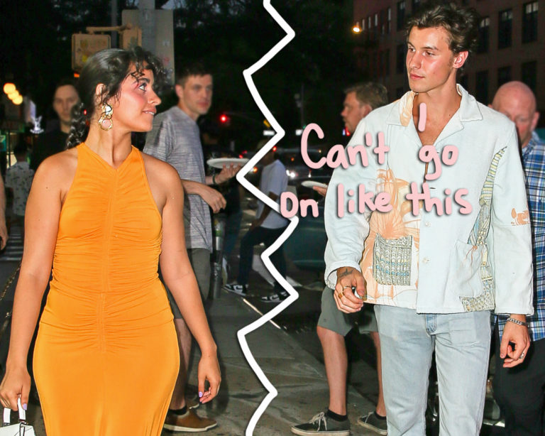 Here's Why Shawn Mendes & Camila Cabello Suddenly Split! Perez Hilton