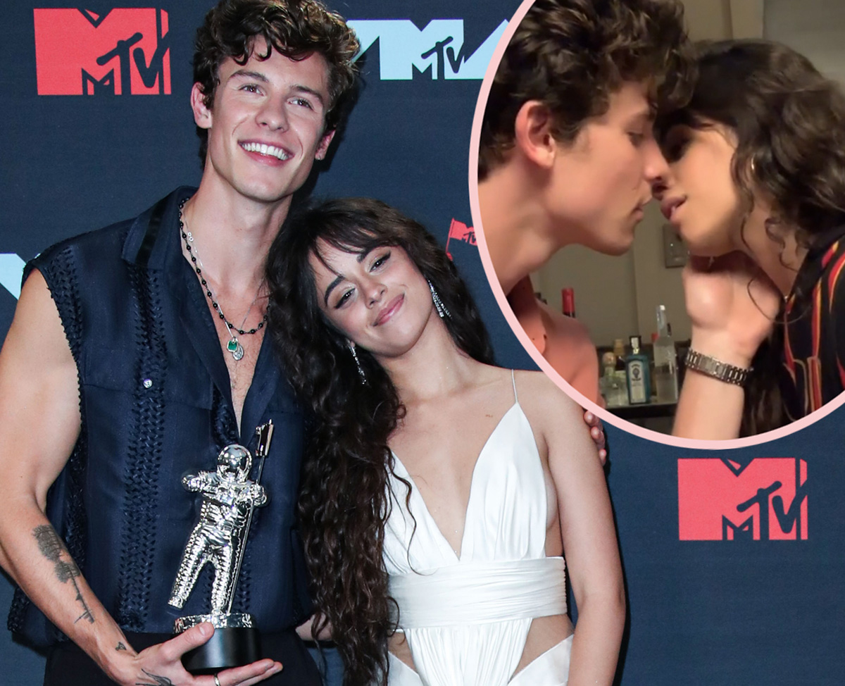 So This Is The Real Reason Why Shawn Mendes Initiated His Breakup From Camila Cabello Perez Hilton