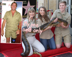 Terri Irwin Opens Up About Loving Late Husband Steve Irwin: 'It Was ...