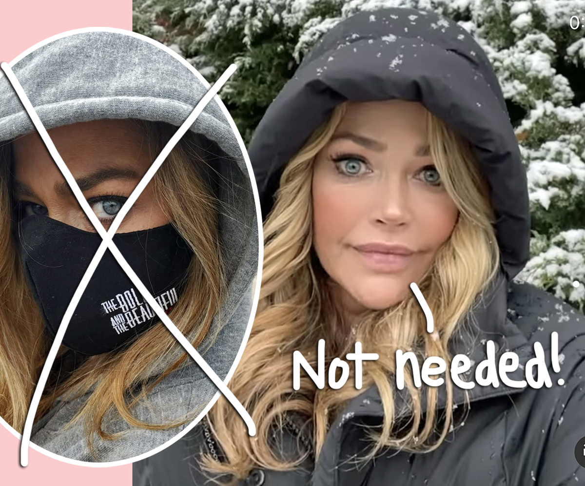 Denise Richards Defends Going Maskless On Plane As Fans Blast Her Call Her A ‘f Kin Moron