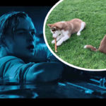 Incredible!! Leonardo DiCaprio Dove Into A 'Frozen Lake' To Save His Dogs!