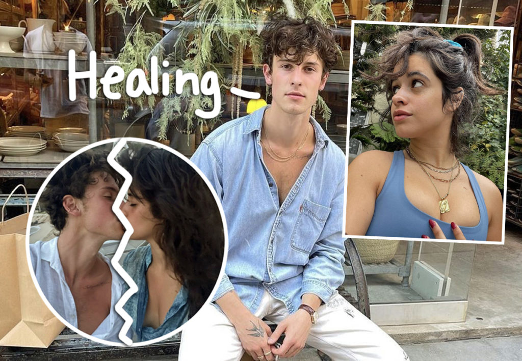 Shawn mendes camila cabello break up