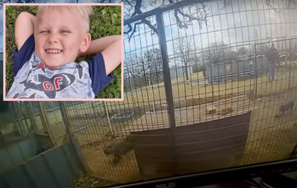 4-Year-Old Boy's Arm Torn Off While Petting Pit Bull Puppies