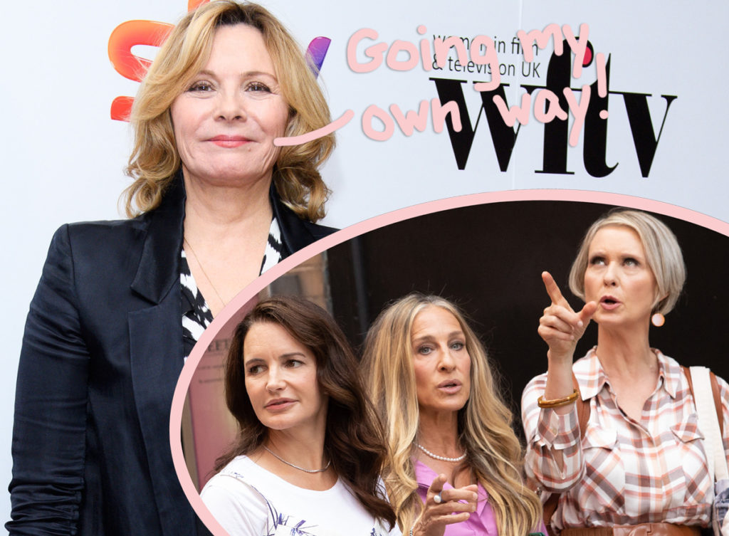 Kim Cattrall Likes Tweets Shading Sex And The City Reboot Amid Sjp Feud Perez Hilton 