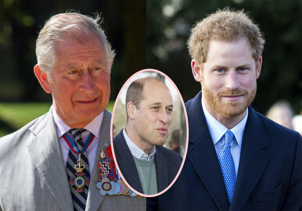 Royal Olive Branch! Prince Charles Said THESE Kind Words About Harry In ...