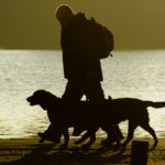 College Student 'Permanently Disfigured' After Absolutely Horrific Mauling During Dog Walker Gig