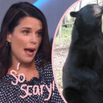 Neve Campbell Is The ULTIMATE Final Girl! Hear Her CRAZY Bear Attack Story!